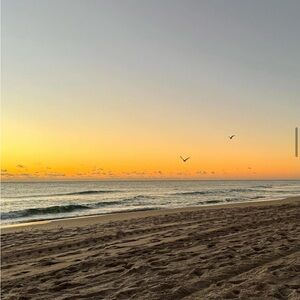 Meet your Posher, Lynn